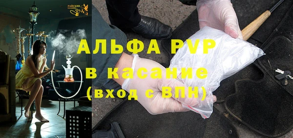 PSILOCYBIN Корсаков