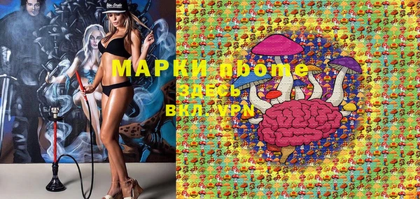 прущие грибы Костерёво