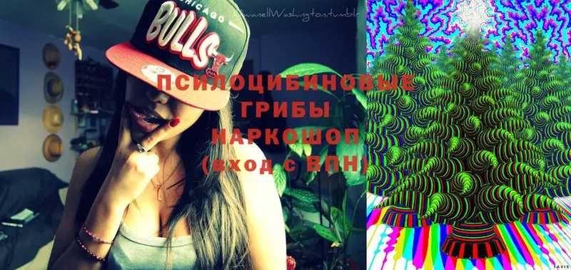 Галлюциногенные грибы Magic Shrooms Липки