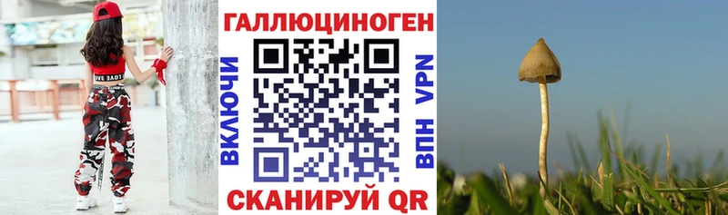 Галлюциногенные грибы прущие грибы  Липки 